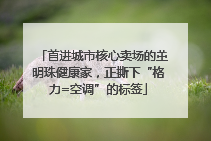 首进城市核心卖场的董明珠健康家，正撕下“格力=空调”的标签