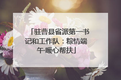 驻曹县省派第一书记和工作队：粽情端午·暖心帮扶