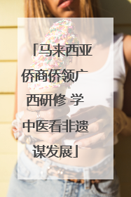 马来西亚侨商侨领广西研修 学中医看非遗谋发展