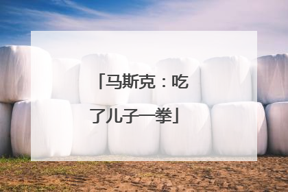 马斯克：吃了儿子一拳