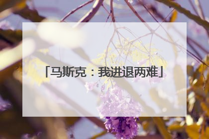 马斯克：我进退两难