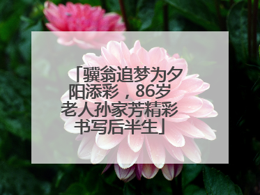 骥翁追梦为夕阳添彩，86岁老人孙家芳精彩书写后半生