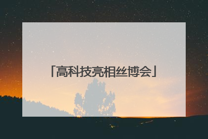 高科技亮相丝博会