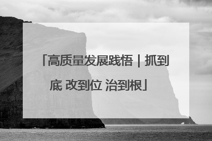 高质量发展践悟｜抓到底 改到位 治到根