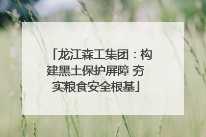 龙江森工集团：构建黑土保护屏障 夯实粮食安全根基