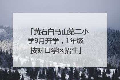 黄石白马山第二小学9月开学，1年级按对口学区招生