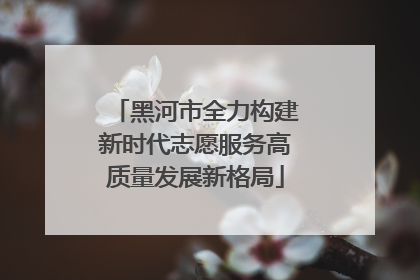 黑河市全力构建新时代志愿服务高质量发展新格局