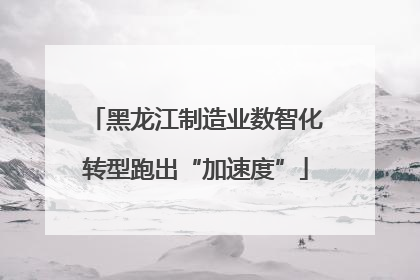 黑龙江制造业数智化转型跑出“加速度”