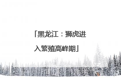 黑龙江：狮虎进入繁殖高峰期