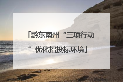 黔东南州“三项行动”优化招投标环境