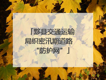 黟县交通运输局织密汛期道路“防护网”