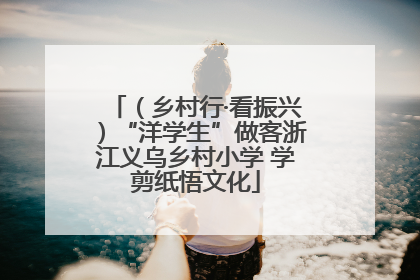 （乡村行·看振兴）“洋学生”做客浙江义乌乡村小学 学剪纸悟文化