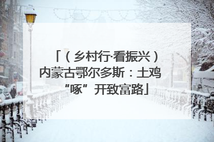 （乡村行·看振兴）内蒙古鄂尔多斯：土鸡“啄”开致富路