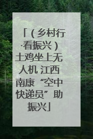 （乡村行·看振兴）土鸡坐上无人机 江西南康“空中快递员”助振兴