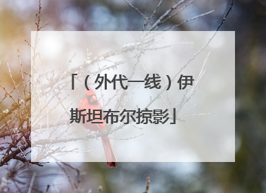 （外代一线）伊斯坦布尔掠影