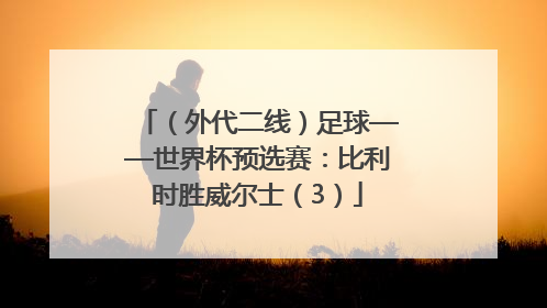 （外代二线）足球——世界杯预选赛：比利时胜威尔士（3）