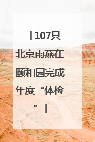 107只北京雨燕在颐和园完成年度“体检”