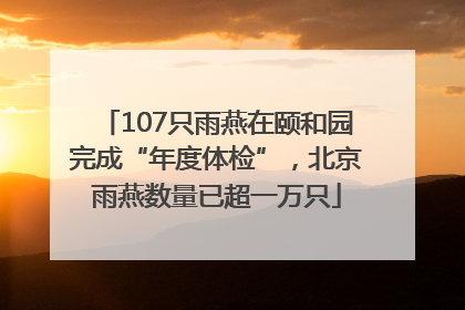 107只雨燕在颐和园完成“年度体检”，北京雨燕数量已超一万只