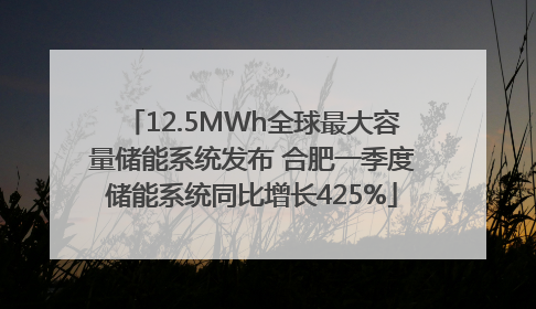 12.5MWh全球最大容量储能系统发布 合肥一季度储能系统同比增长425%