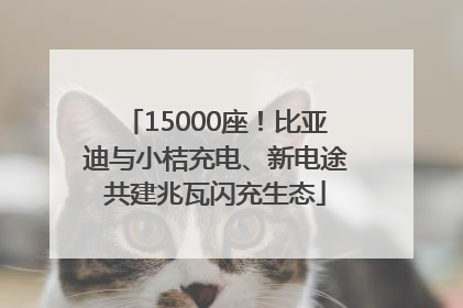 15000座！比亚迪与小桔充电、新电途共建兆瓦闪充生态