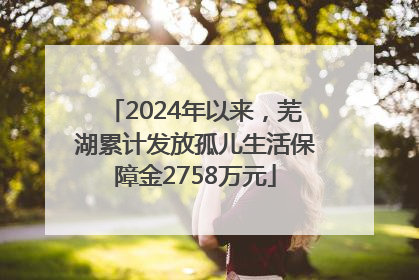 2024年以来，芜湖累计发放孤儿生活保障金2758万元