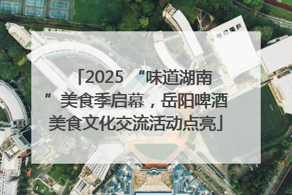 2025 “味道湖南”美食季启幕，岳阳啤酒美食文化交流活动点亮