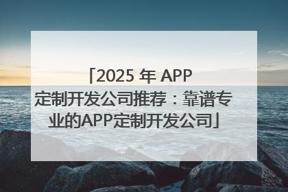 2025 年 APP 定制开发公司推荐：靠谱专业的APP定制开发公司