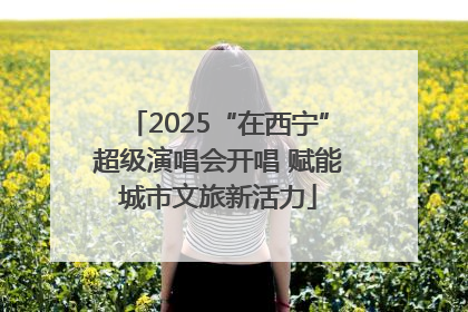 2025“在西宁”超级演唱会开唱 赋能城市文旅新活力