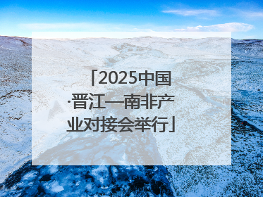 2025中国·晋江—南非产业对接会举行