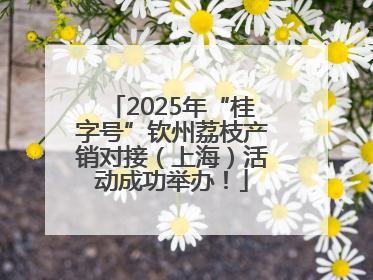 2025年“桂字号”钦州荔枝产销对接（上海）活动成功举办！