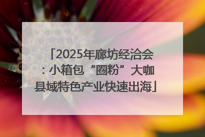 2025年廊坊经洽会：小箱包“圈粉”大咖 县域特色产业快速出海