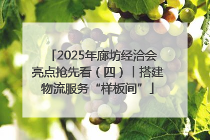 2025年廊坊经洽会亮点抢先看（四）丨搭建物流服务“样板间”