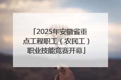2025年安徽省重点工程职工(农民工)职业技能竞赛开幕