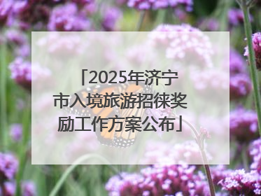 2025年济宁市入境旅游招徕奖励工作方案公布