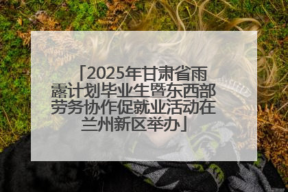 2025年甘肃省雨露计划毕业生暨东西部劳务协作促就业活动在兰州新区举办