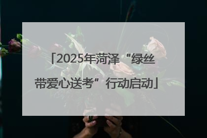 2025年菏泽“绿丝带爱心送考”行动启动