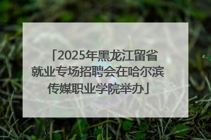 2025年黑龙江留省就业专场招聘会在哈尔滨传媒职业学院举办