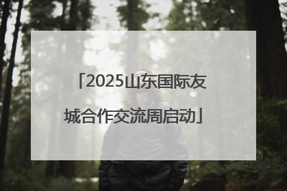 2025山东国际友城合作交流周启动