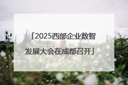 2025西部企业数智发展大会在成都召开