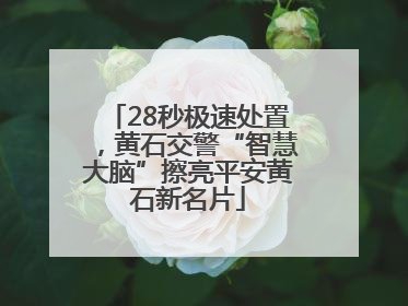 28秒极速处置，黄石交警“智慧大脑”擦亮平安黄石新名片