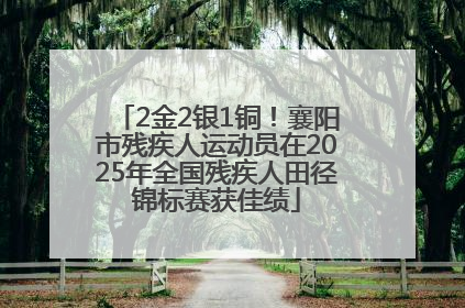 2金2银1铜！襄阳市残疾人运动员在2025年全国残疾人田径锦标赛获佳绩