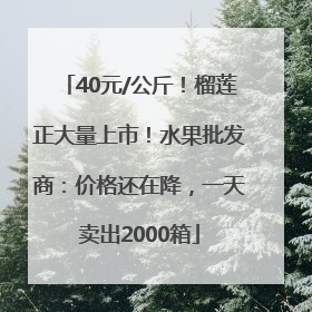 40元/公斤！榴莲正大量上市！水果批发商：价格还在降，一天卖出2000箱
