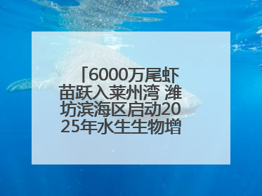 6000万尾虾苗跃入莱州湾 潍坊滨海区启动2025年水生生物增殖放流工作
