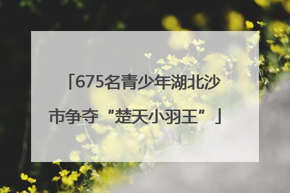 675名青少年湖北沙市争夺“楚天小羽王”