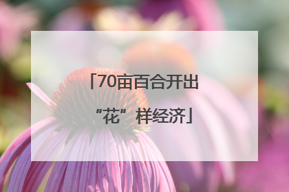 70亩百合开出“花”样经济