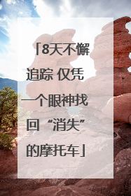 8天不懈追踪 仅凭一个眼神找回“消失”的摩托车