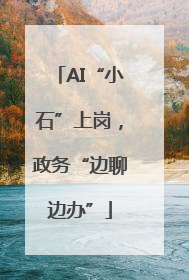AI“小石”上岗，政务“边聊边办”
