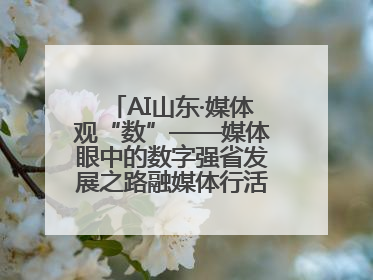 AI山东·媒体观“数”——媒体眼中的数字强省发展之路融媒体行活动启动