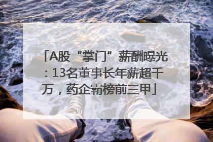 A股“掌门”薪酬曝光：13名董事长年薪超千万，药企霸榜前三甲