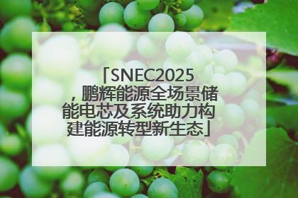 SNEC2025，鹏辉能源全场景储能电芯及系统助力构建能源转型新生态